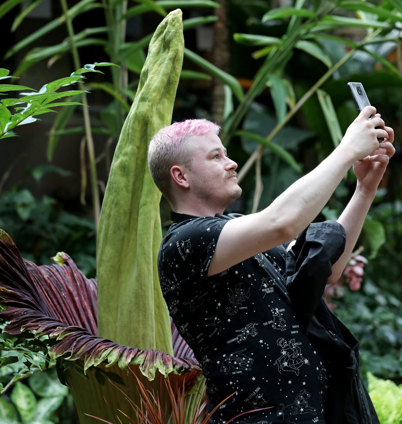 Corpse flower